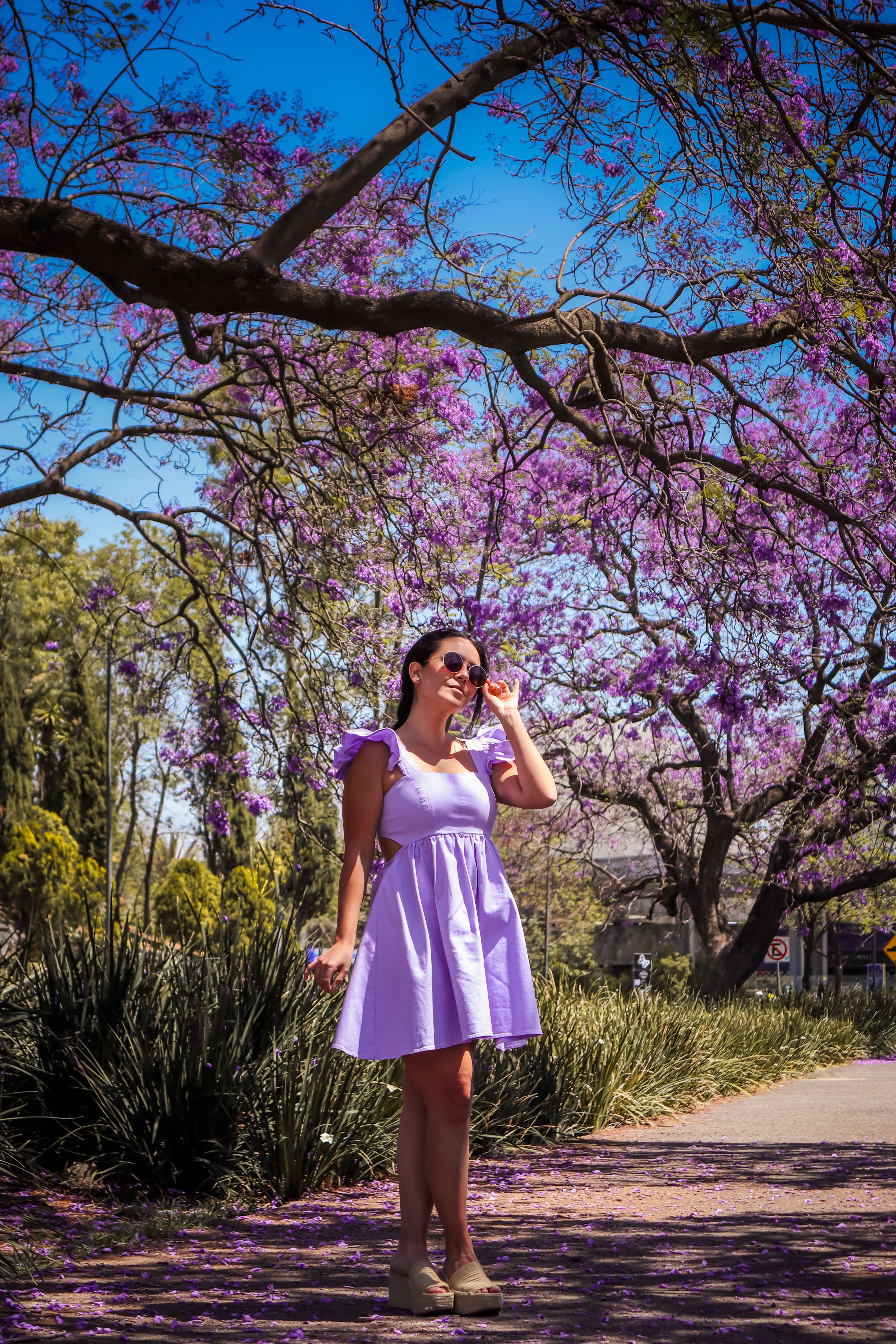 Beautiful Woman in Purple Dress Posing in Park · Free Stock Photo