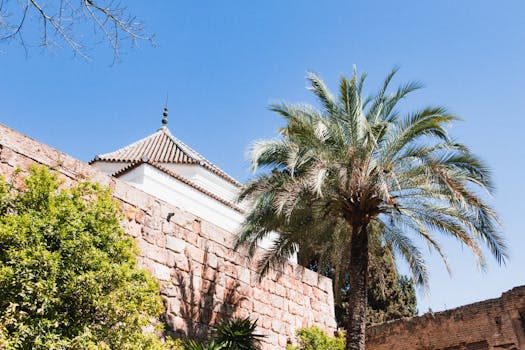 Seville, Spain photo 15