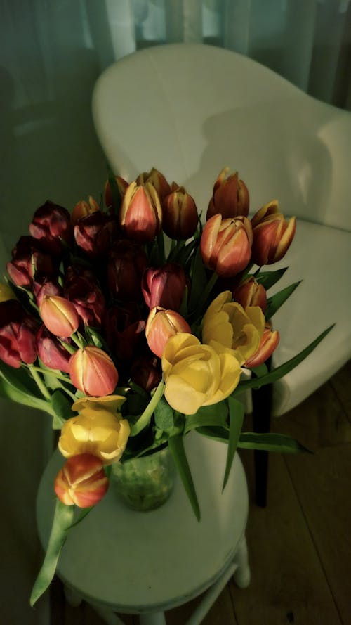 Free A Bouquet of a Colorful Tulips in Vase Stock Photo