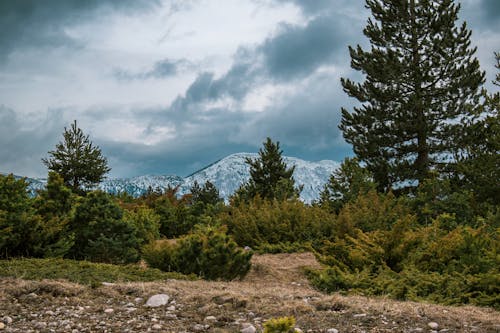Безкоштовне стокове фото на тему «гірський хребет, дерева, ефектне небо»