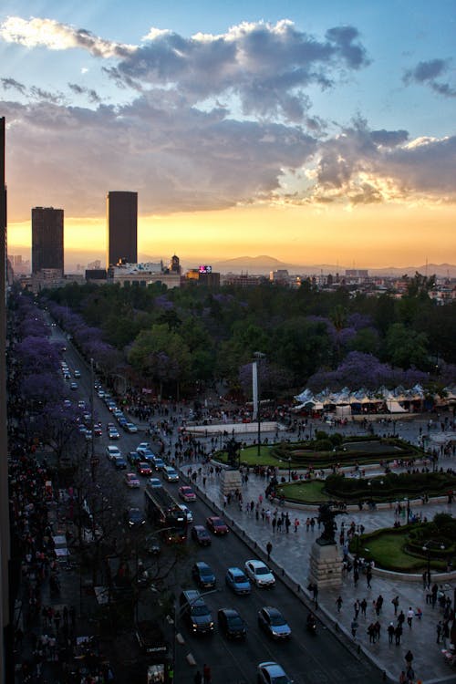 Panorama of City Park at Sunset