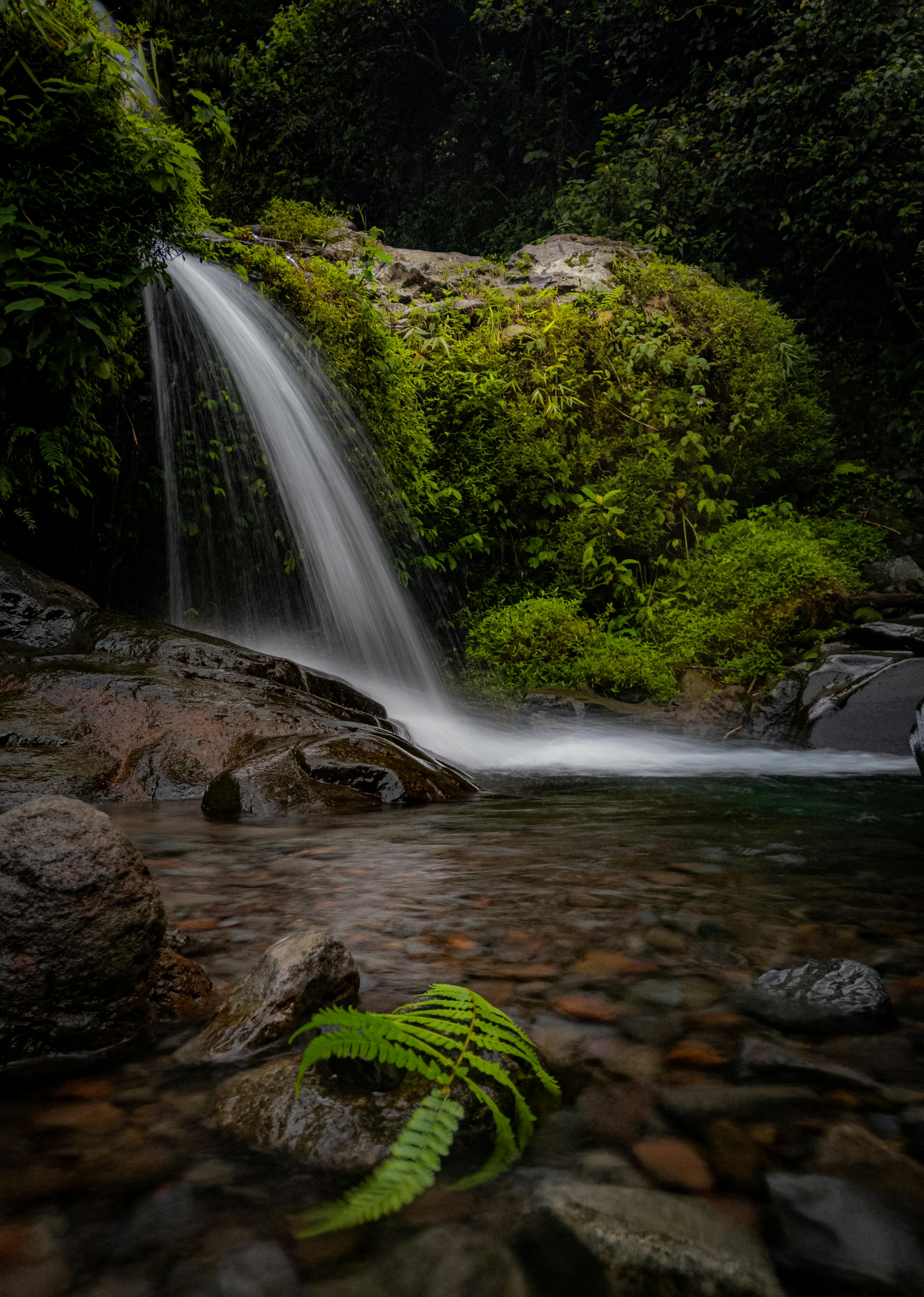 Australian Waterfall Photos, Download The BEST Free Australian ...