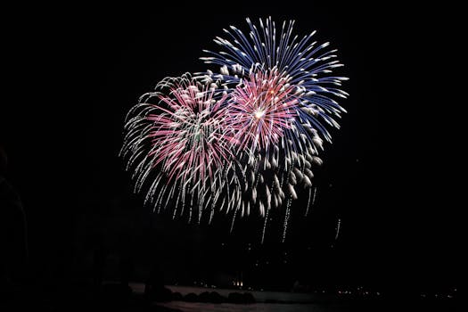 多彩的烟花点亮了夜空，充满活力