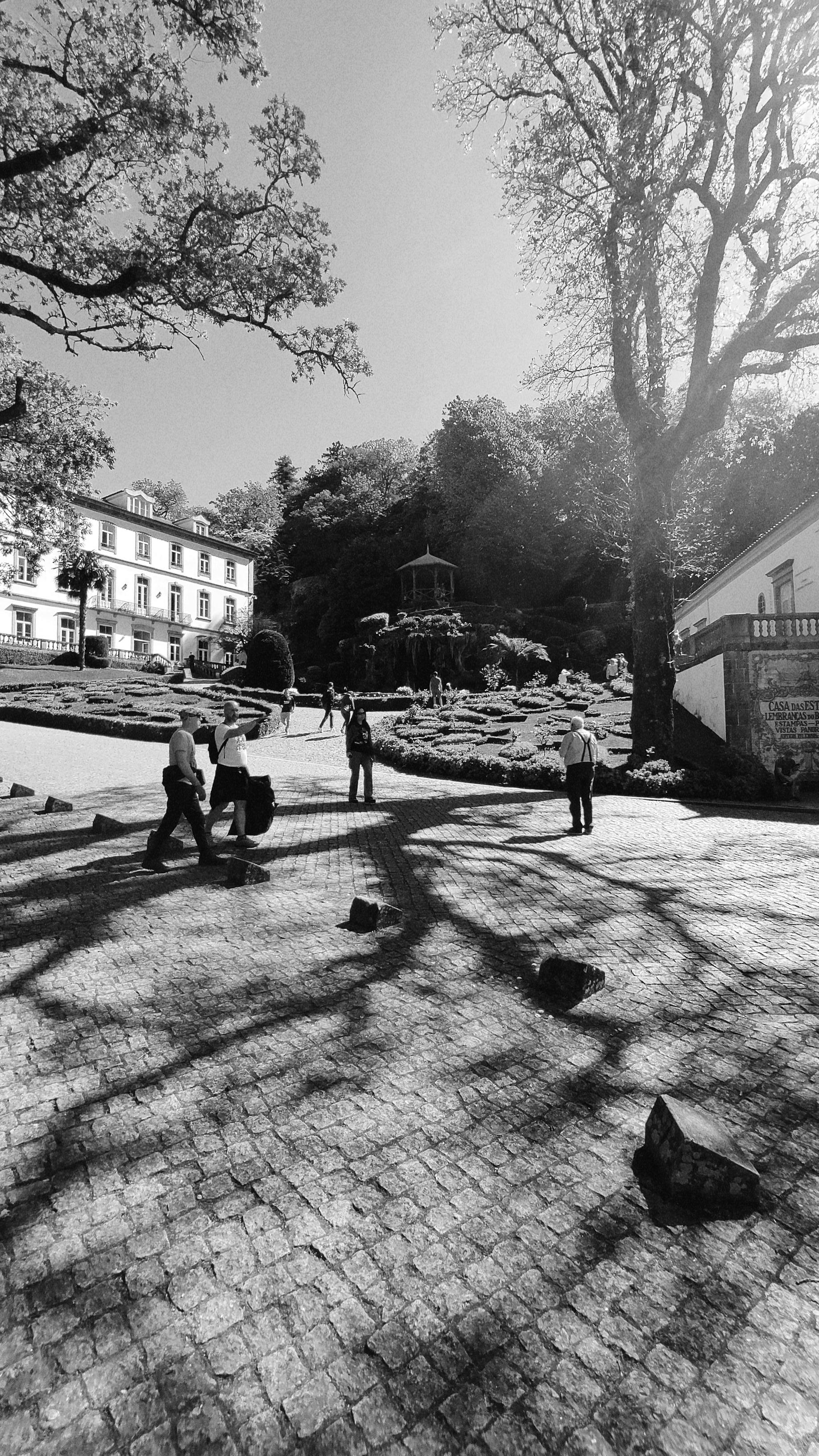 Black and white photo of a vibrant urban park scene with historic buildings and walking people.