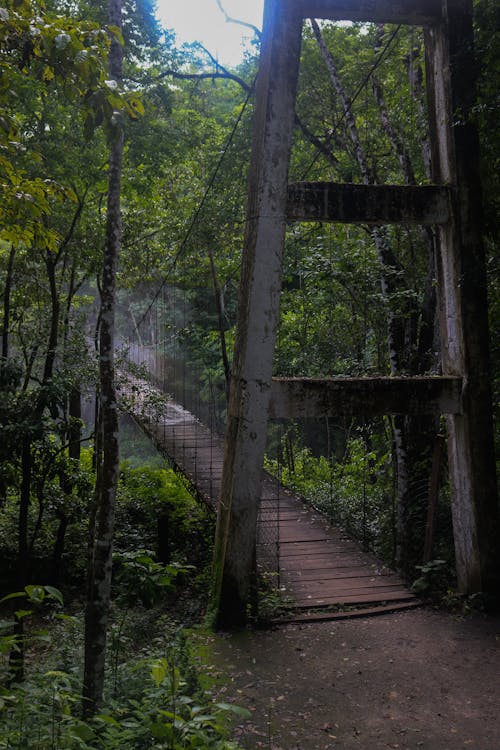 Puente colgante 