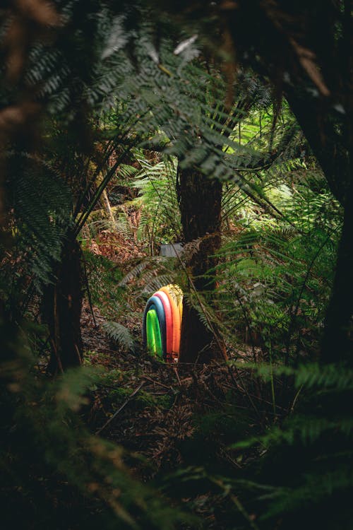 Fallen Rainbow