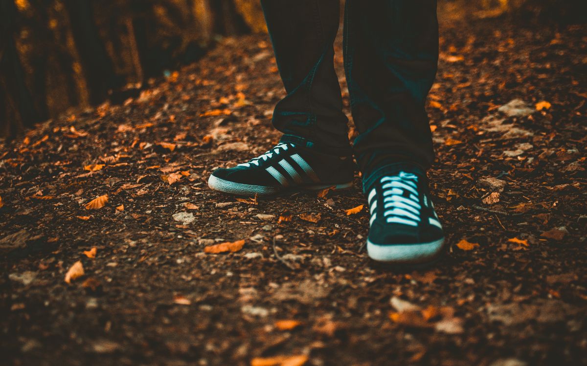 Close-up of sneakers on a leaf-strewn path, capturing the essence of fall outdoors.