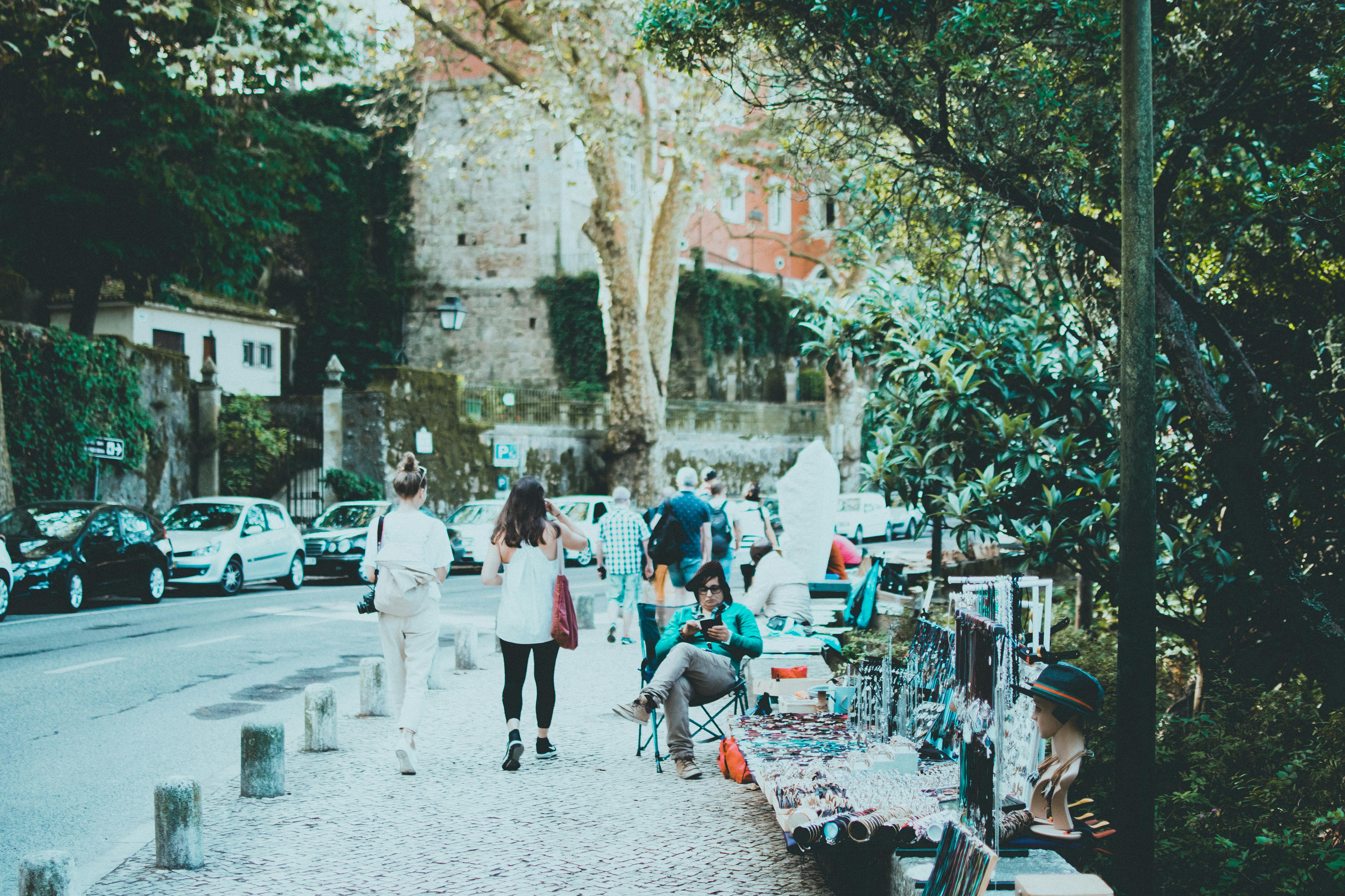 Free Brown Tree Stock Photo