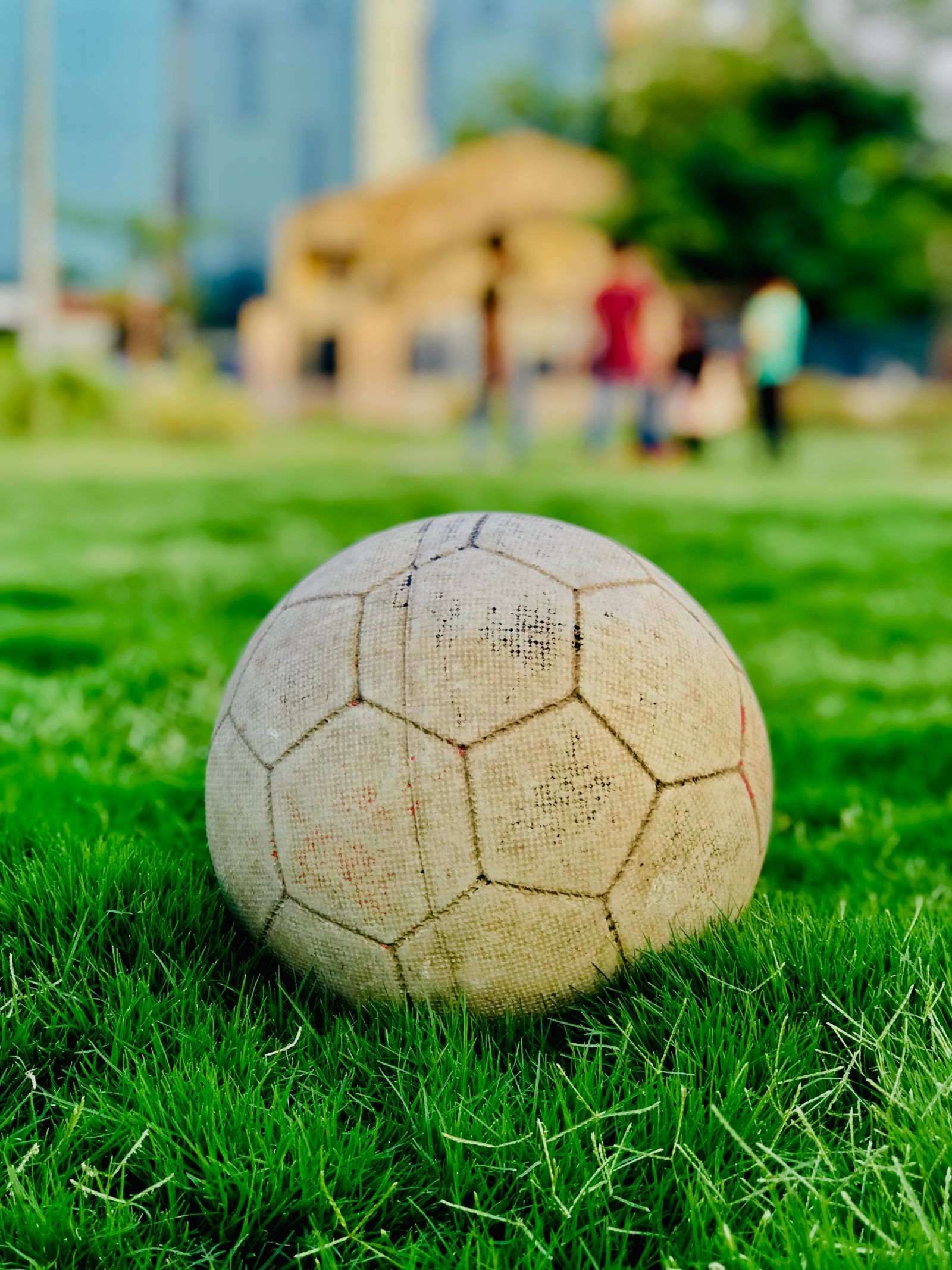 Minge de fotbal pe un teren de iarbă
