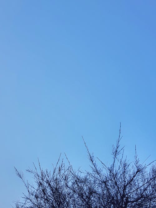 Fotos de stock gratuitas de cielo azul, natural