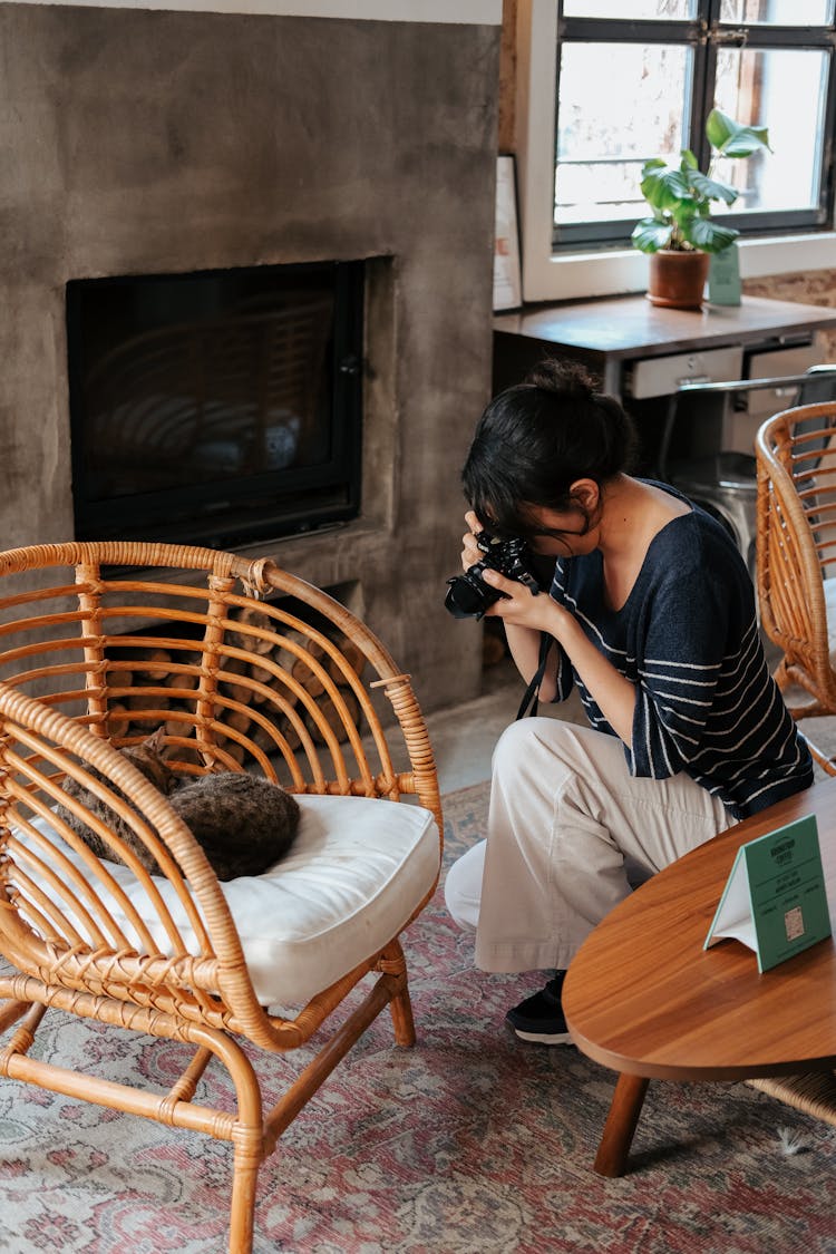 Woman Taking Photo Of Cat Lying On Chair