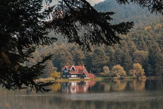 Free stock photo of bungalow, dawn, fall