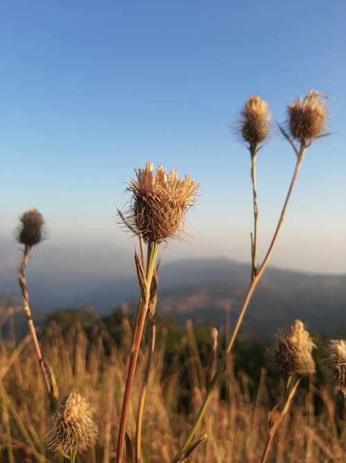 山背景, 徒步旅行, 户外人像 的 免费素材图片