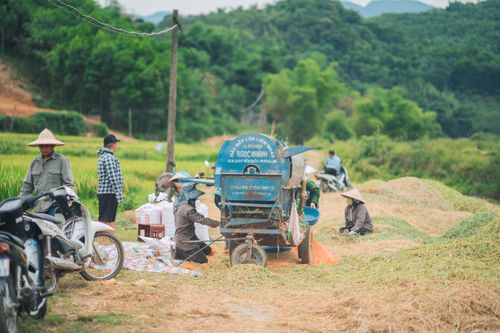Free Traditional farming scene with Vietnamese farmers working in lush, green fields using machinery. Stock Photo