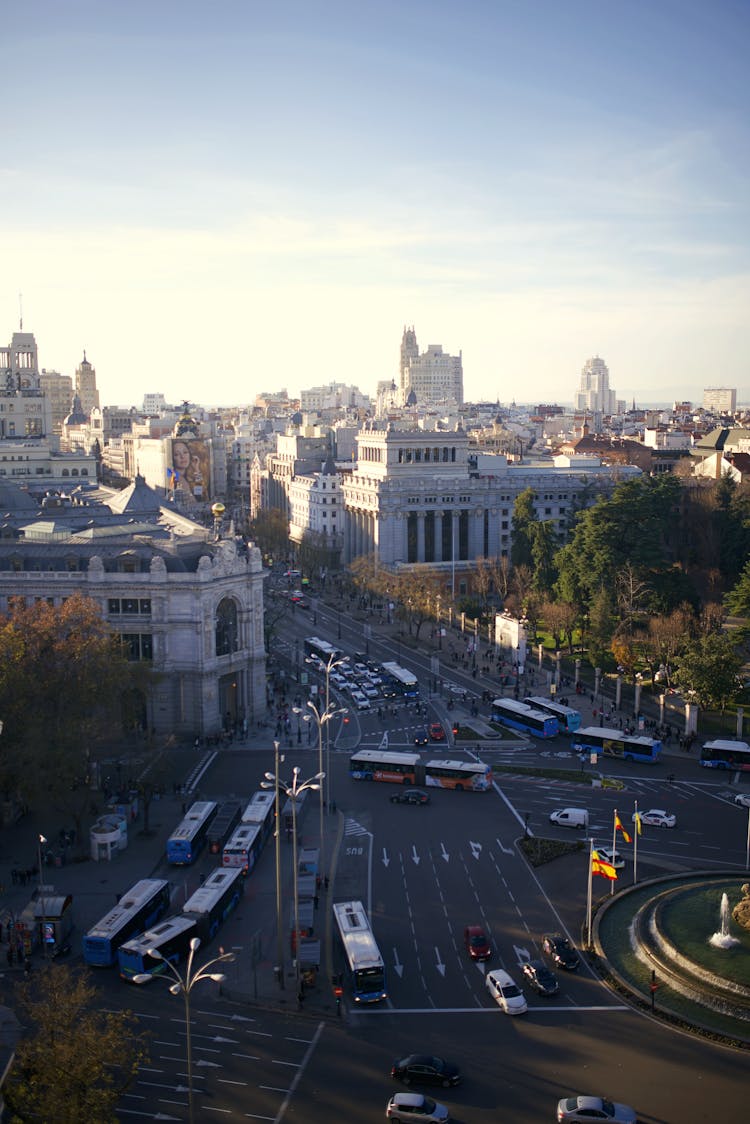 Alcala Street In Madrid