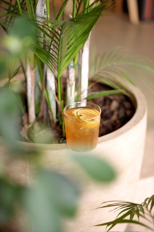 A Glass of Juice on a Plant Pot 