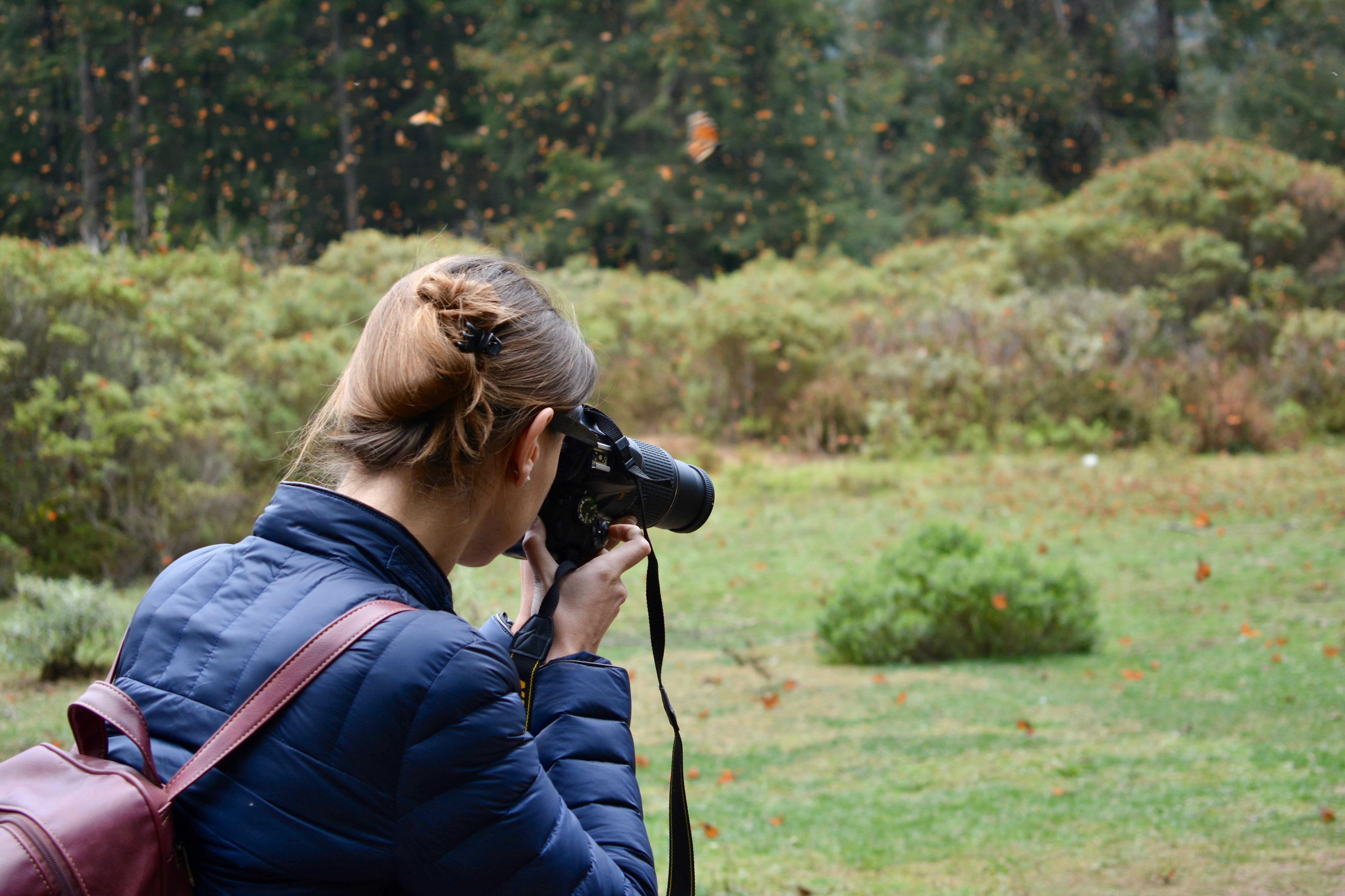 金太狼的幸福生活电影百度云，金太狼的幸福生活电影百度云盘