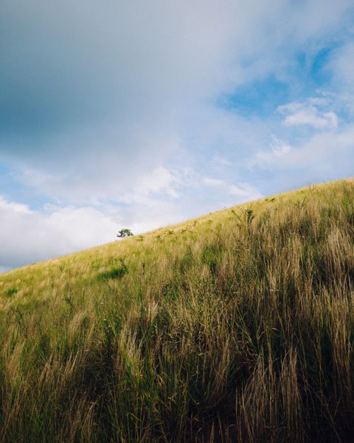 Free Tranquil rural landscape with a grassy hillside under a cloudy sky, capturing nature's simplicity. Stock Photo