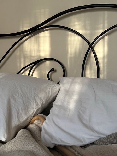 Cozy iron bed frame with white pillows bathed in soft sunlight, creating a serene atmosphere.