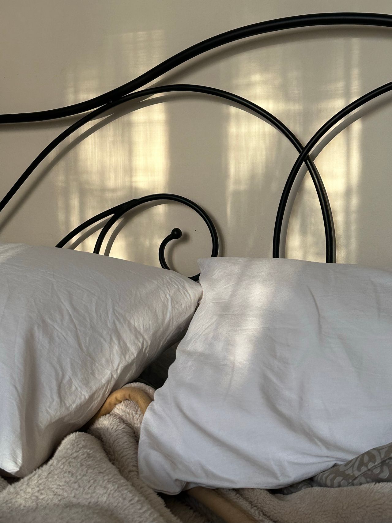 Close-up of fresh white pillows and a cozy throw on an iron-frame bed in a first apartment bedroom