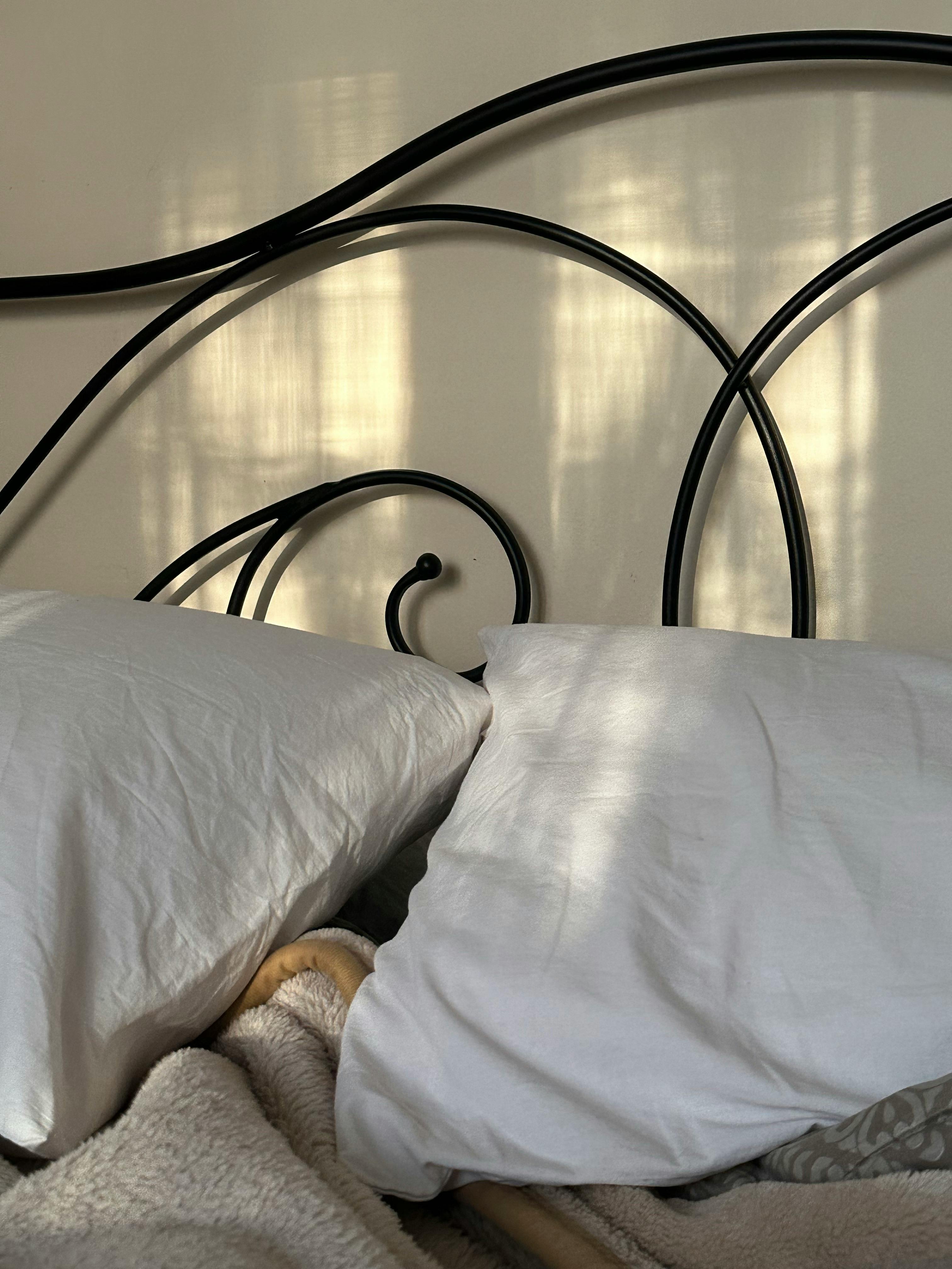 Free Cozy iron bed frame with white pillows bathed in soft sunlight, creating a serene atmosphere. Stock Photo