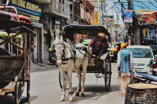 Free A bustling street in Amritsar with a horse-drawn carriage and urban life captured in full action. Stock Photo
