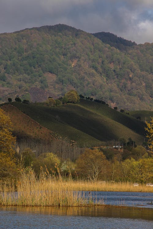 View of a Body of Water, Grass Hills and Mountains Covered in Trees