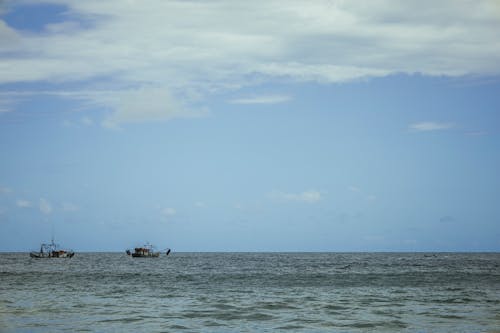 Barco de Pesca