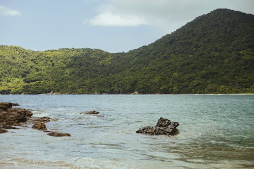 View of the Cachadaco Beach and Hills Covered with Trees, Trindade, Brazil 