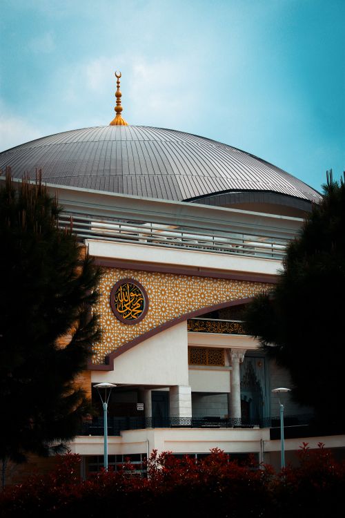 Free Exterior view of a mosque with an elegant dome and intricate Islamic art detailing, framed by trees. Stock Photo