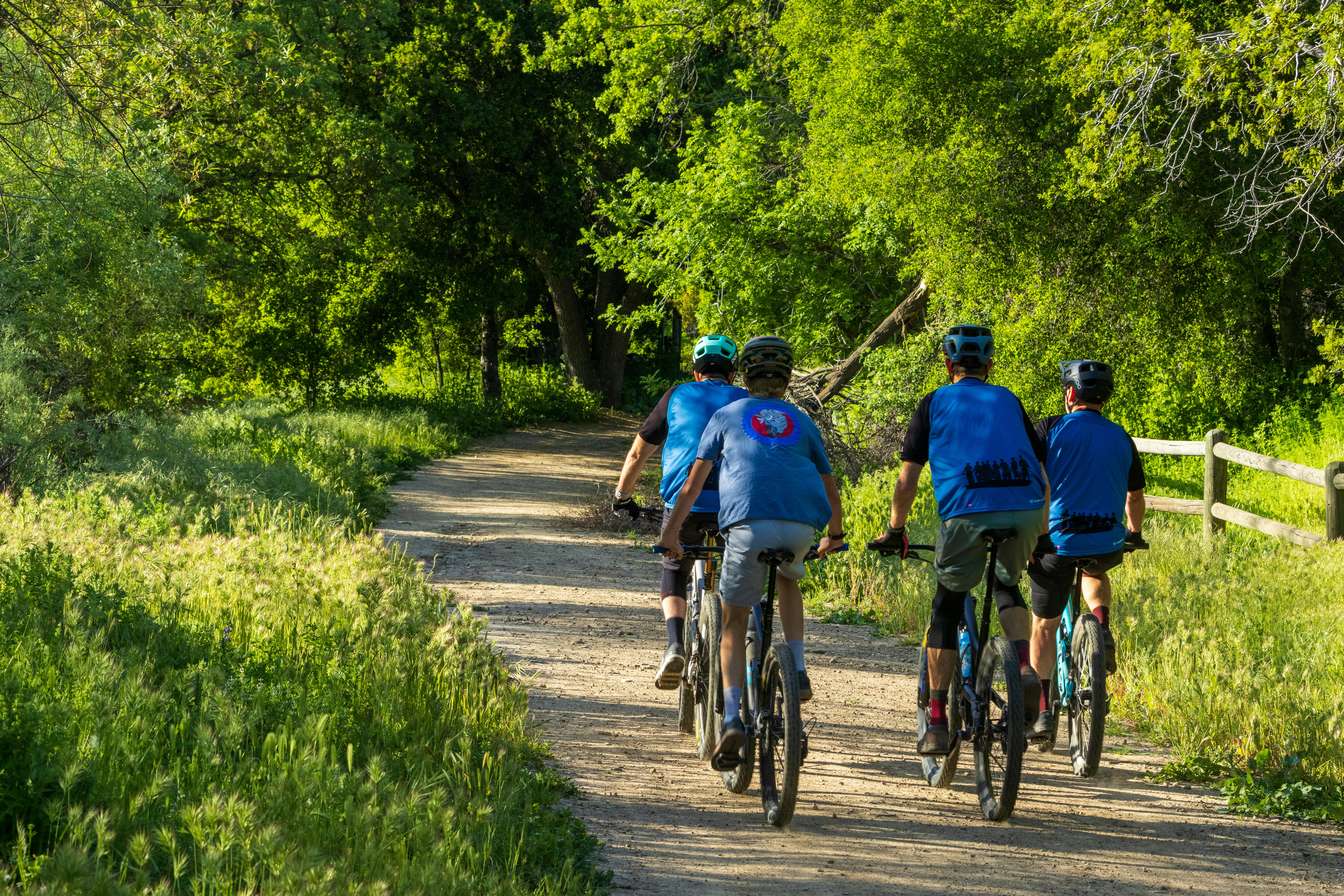 Partnership and grants bring outdoor fitness court and digital wellness to Trenton — Photo by David Brown on Pexels