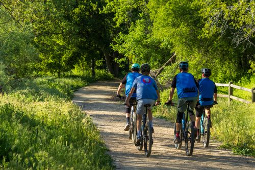 Free A group of cyclists riding through a lush green outdoor trail in sunlight. Stock Photo