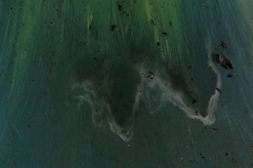 Бесплатное стоковое фото с водяные знаки, зеленый, ломбер