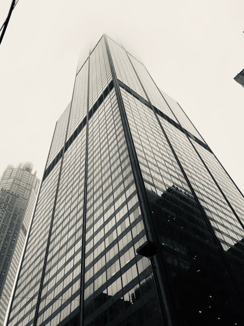 Low Angle Shot of the Willis Tower in Chicago, Illinois, USA