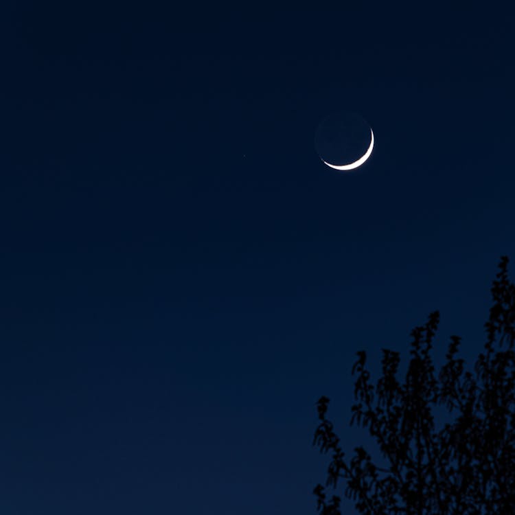 Crescent On Night Sky