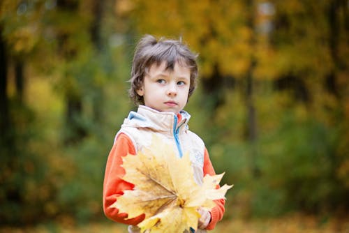 Boy Carrying Maple Leaf