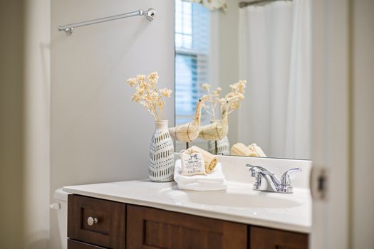 Modern bathroom vanity featuring a stylish faucet, natural decor, and a mirrored reflection for a serene ambiance.