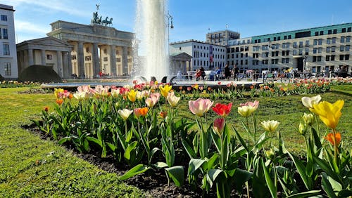 Základová fotografie zdarma na téma Berlín