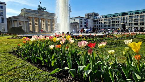 Free Berlin-Brandeburg Stock Photo