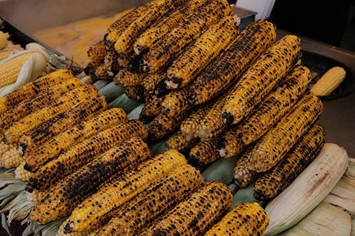 Close up of Roasted Corn