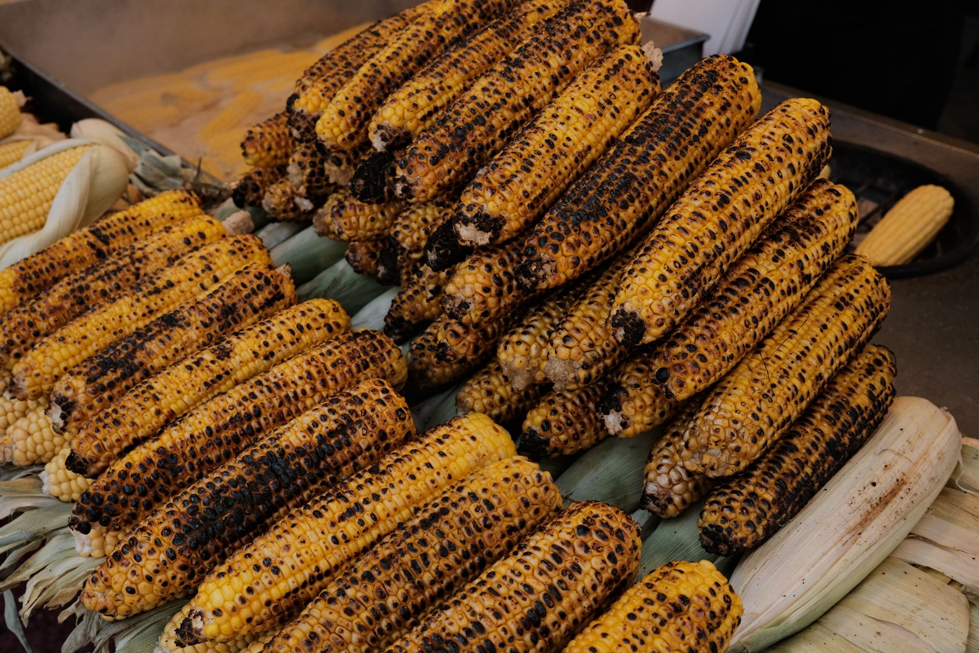 Close-up of charred grilled corn on the cob, stacked abundantly and ready to serve.