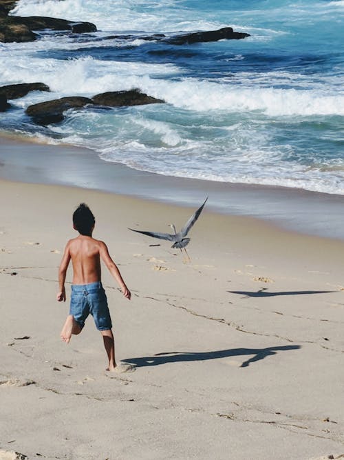 Boy Chasing a Bird on a Beach 