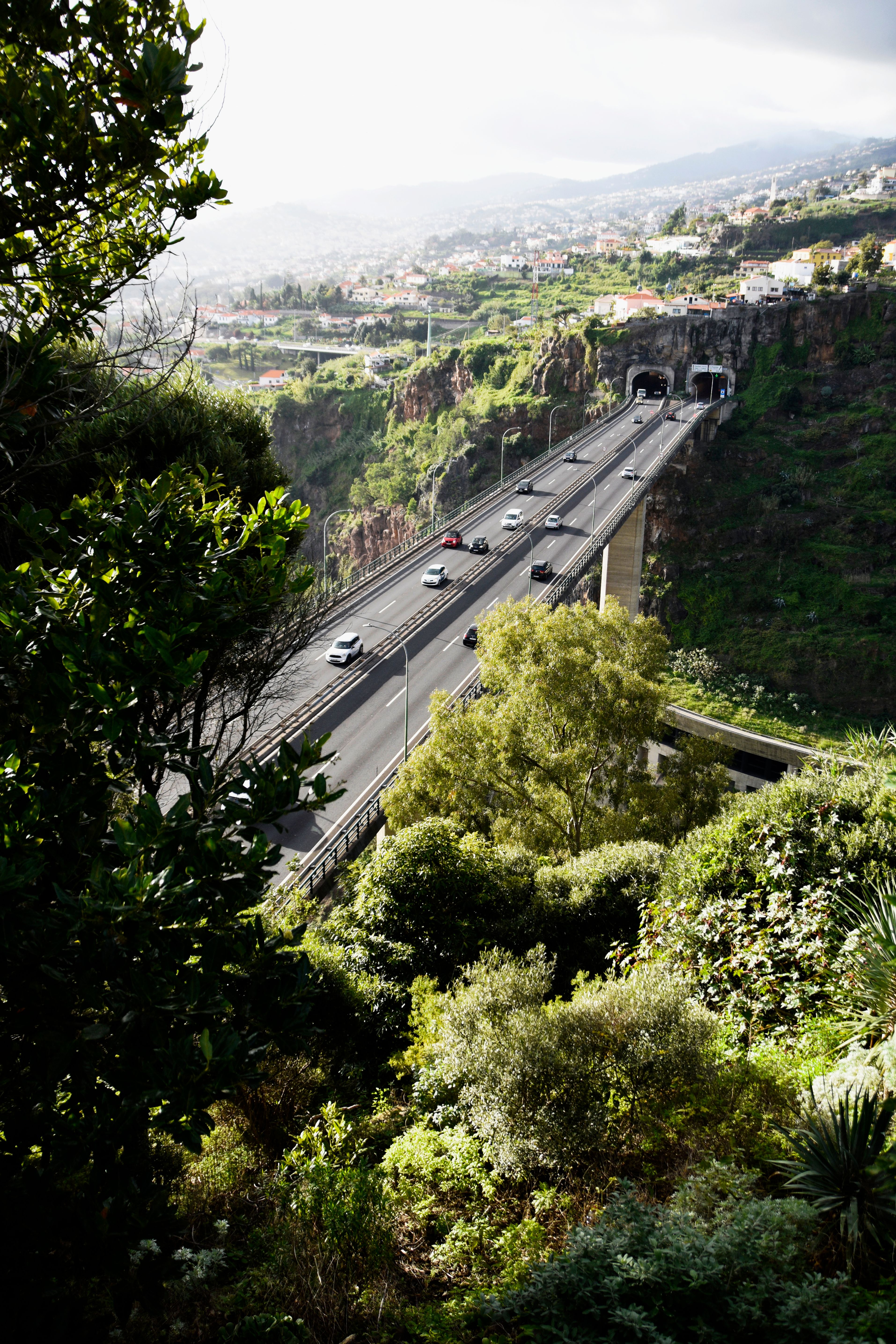 Aerial view of João Gomes Bridge in lush Madeira, Portugal, showcasing greenery and cityscape.