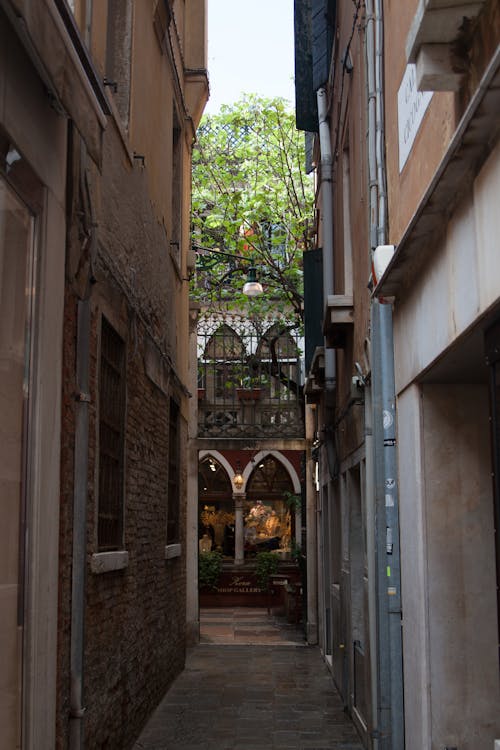 View of a Narrow Alley between Buildings in a Town 