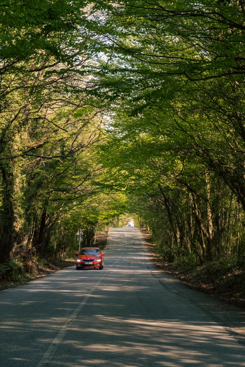 Free A red car drives on a sunny rural road surrounded by lush green trees in the countryside. Stock Photo