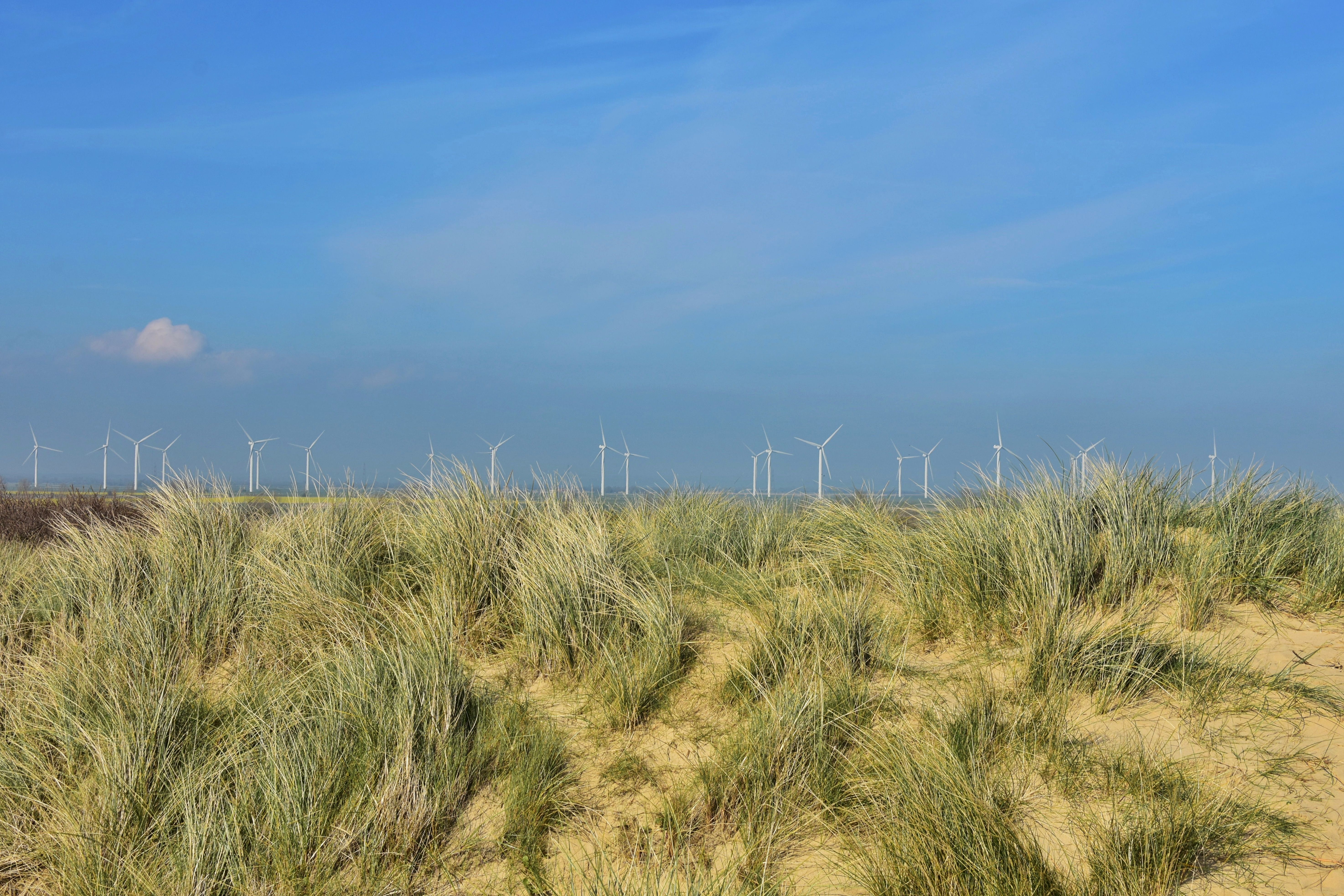 UK offshore wind turbines