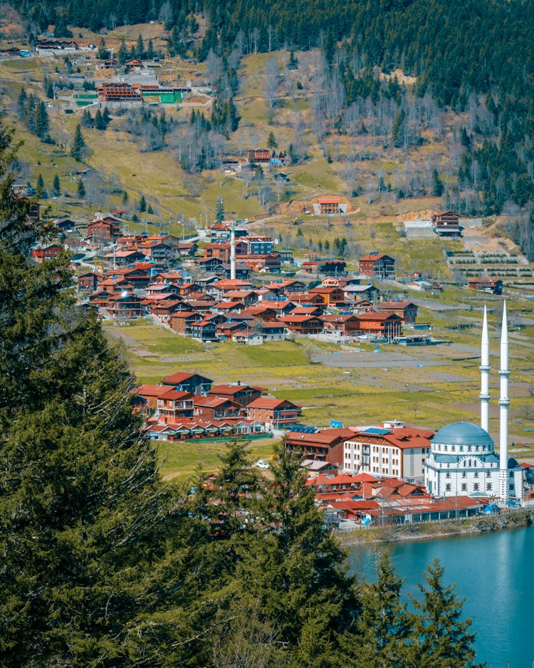 Houses In Valley In Mountains Landscape