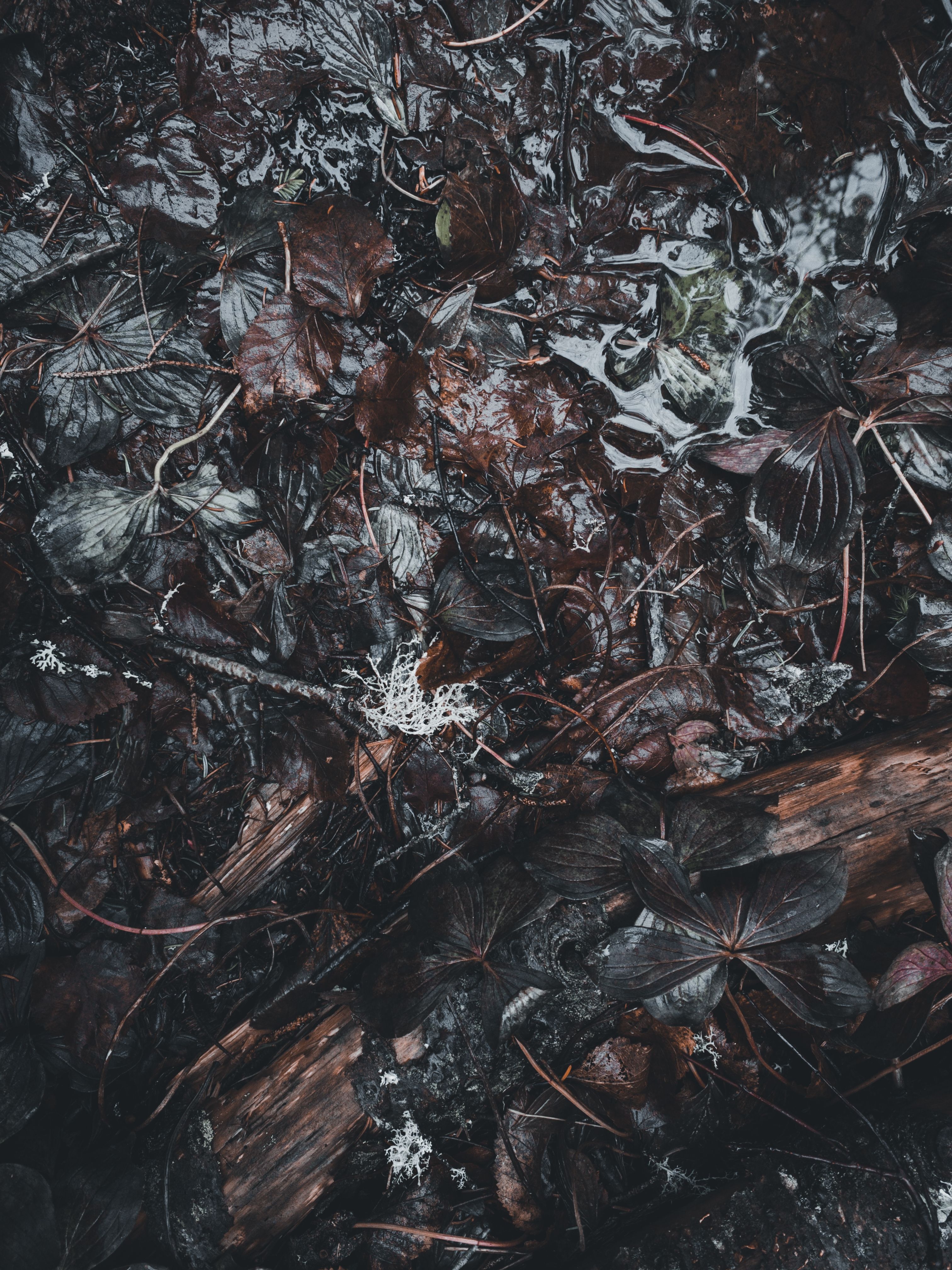 Black Floor Texture Photos, Download The BEST Free Black Floor Texture Stock Photos & HD Images