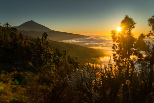 Free Sunrise over mountains with glowing sun, trees, and cloud cover. Stock Photo