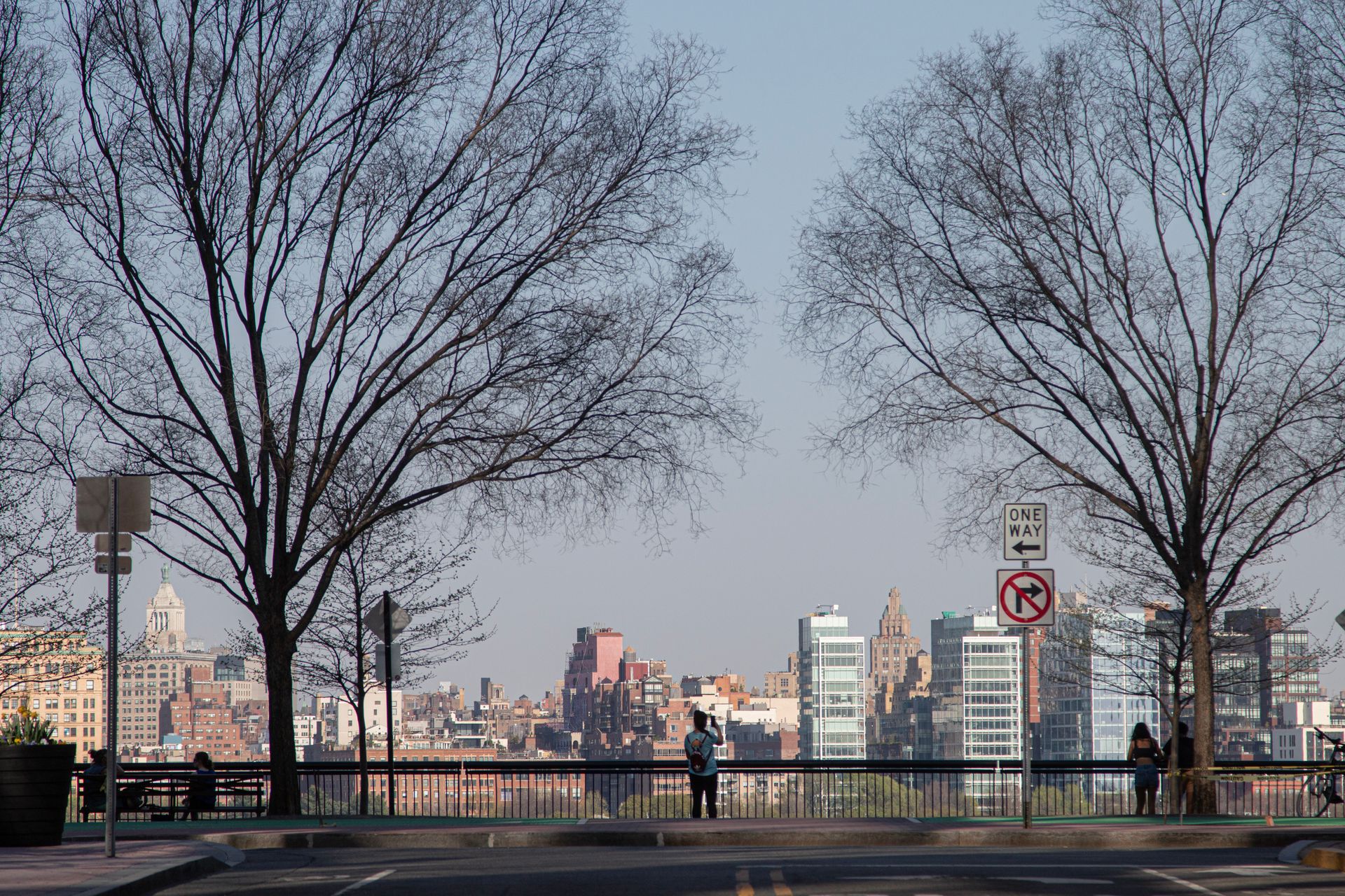 Scenic view of New York City skyline from Brooklyn Heights Promenade with bare trees in foreground.